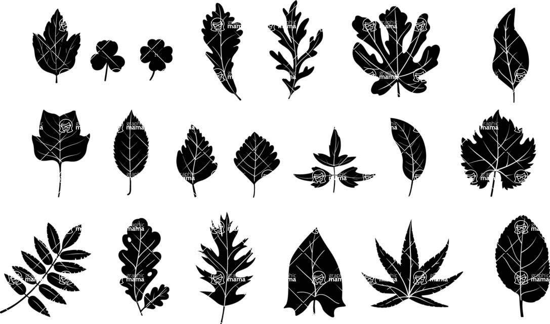 Vector silhouettes - 20 Transparent Leaf Silhouettes Vector Set
